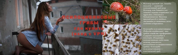 винт Заводоуковск