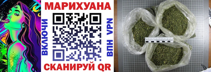 Конопля сатива Гудермес